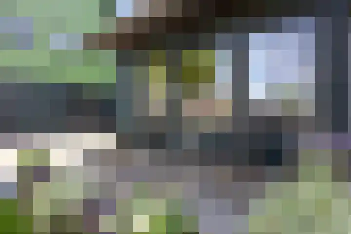 Pruimenhof 6 Loppersum thumbnail 5