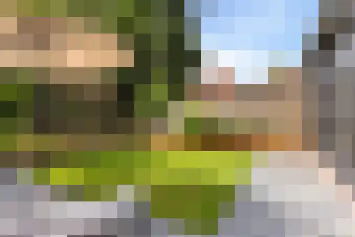Pruimenhof 6 Loppersum thumbnail 50