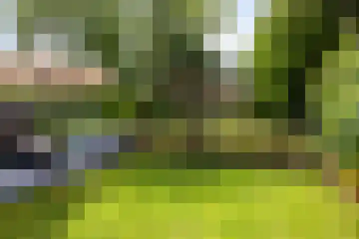 Pruimenhof 6 Loppersum thumbnail 52