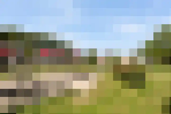 Pruimenhof 6 Loppersum thumbnail 53