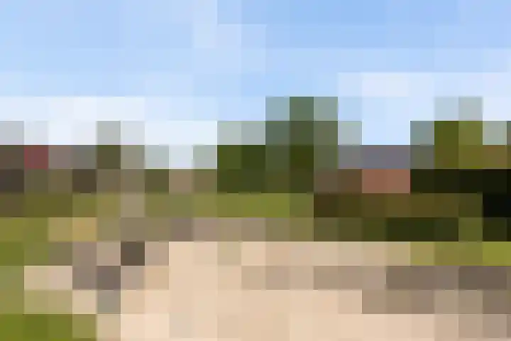 Pruimenhof 6 Loppersum thumbnail 54