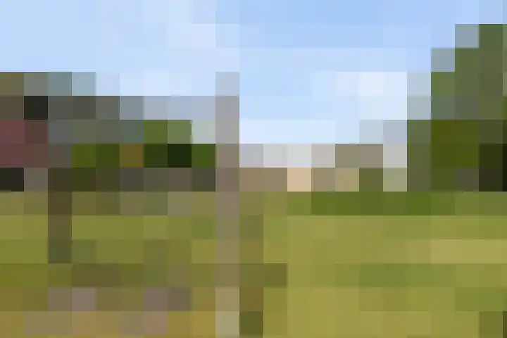 Pruimenhof 6 Loppersum thumbnail 55