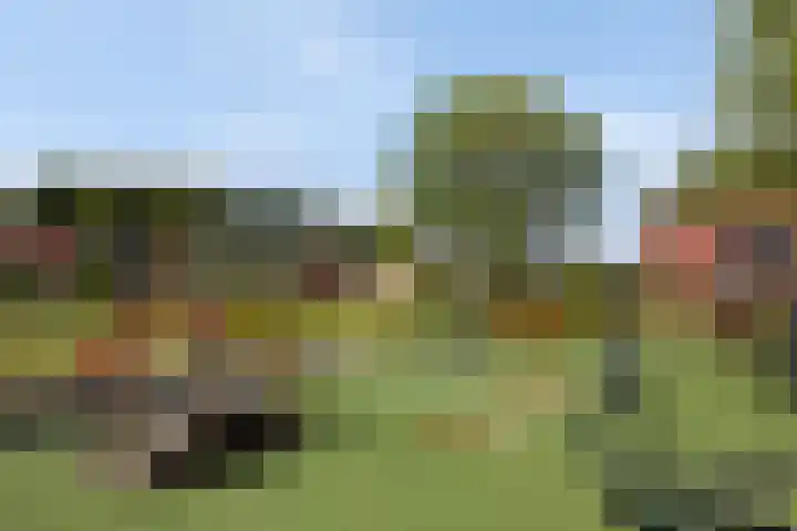 Pruimenhof 6 Loppersum thumbnail 56