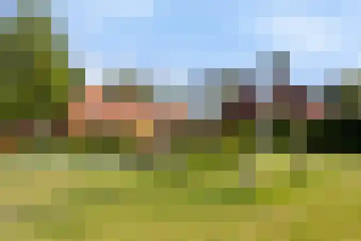Pruimenhof 6 Loppersum thumbnail 57