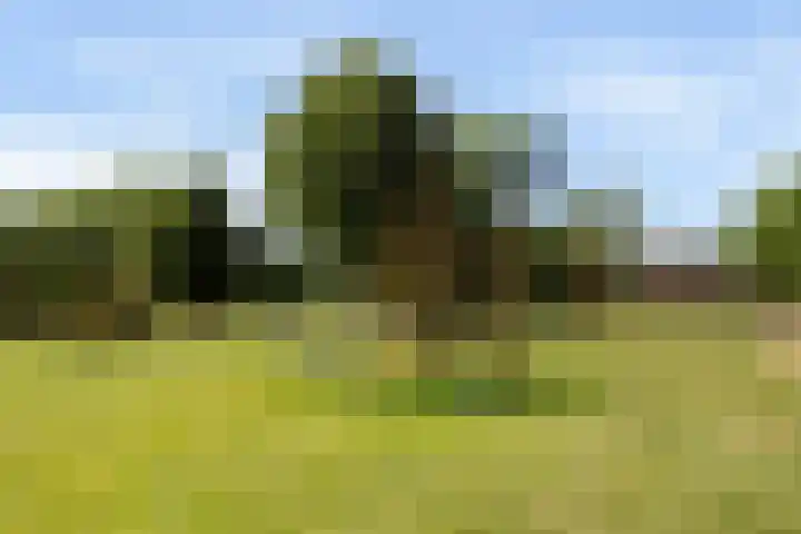 Pruimenhof 6 Loppersum thumbnail 58