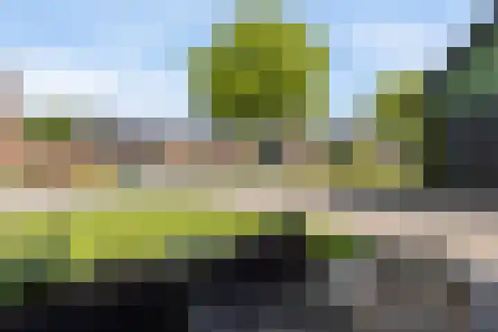 Pruimenhof 6 Loppersum thumbnail 7