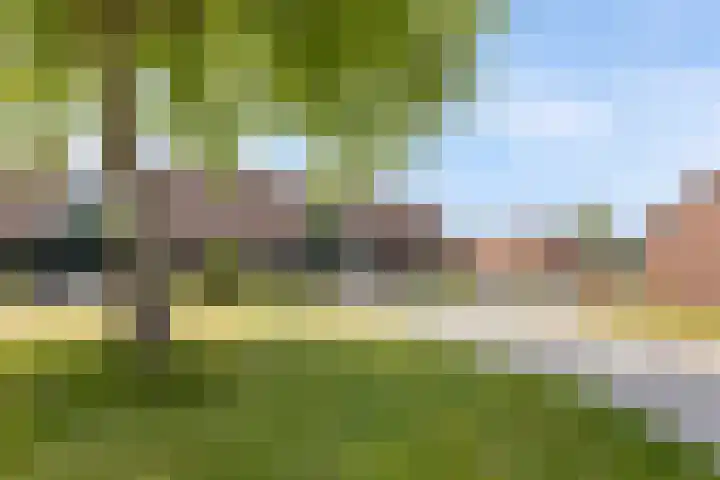 Pruimenhof 6 Loppersum thumbnail 8