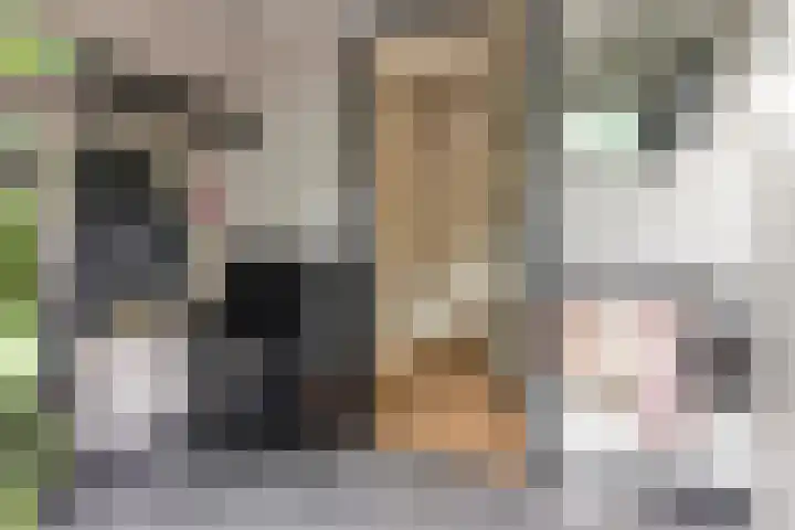 Pruimenhof 6 Loppersum thumbnail 9