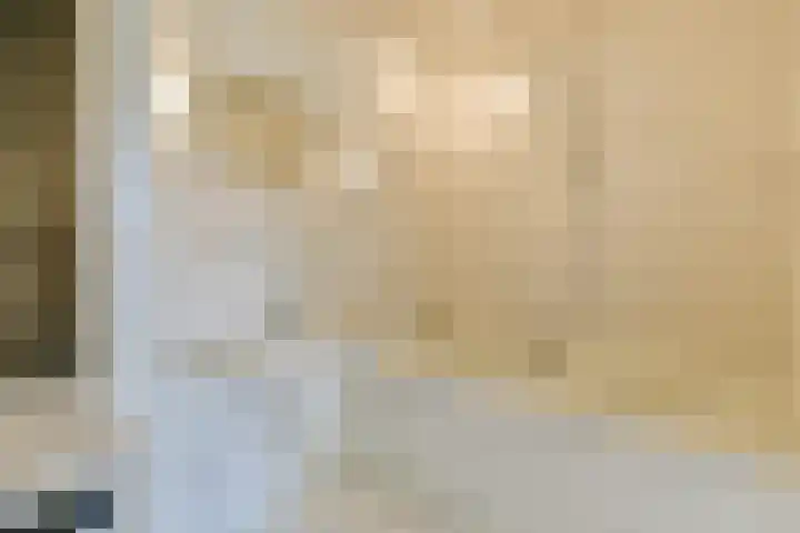 Pruimenlaan 100 Amstelveen thumbnail 15