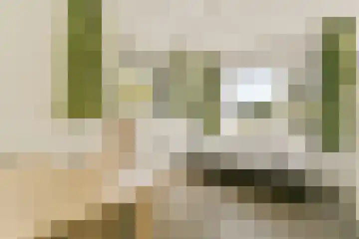 Pruimenlaan 100 Amstelveen thumbnail 18