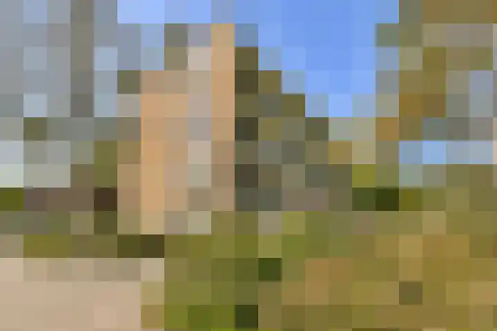 Pruimenlaan 100 Amstelveen thumbnail 20