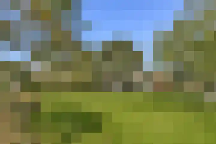 Pruimenlaan 100 Amstelveen thumbnail 21