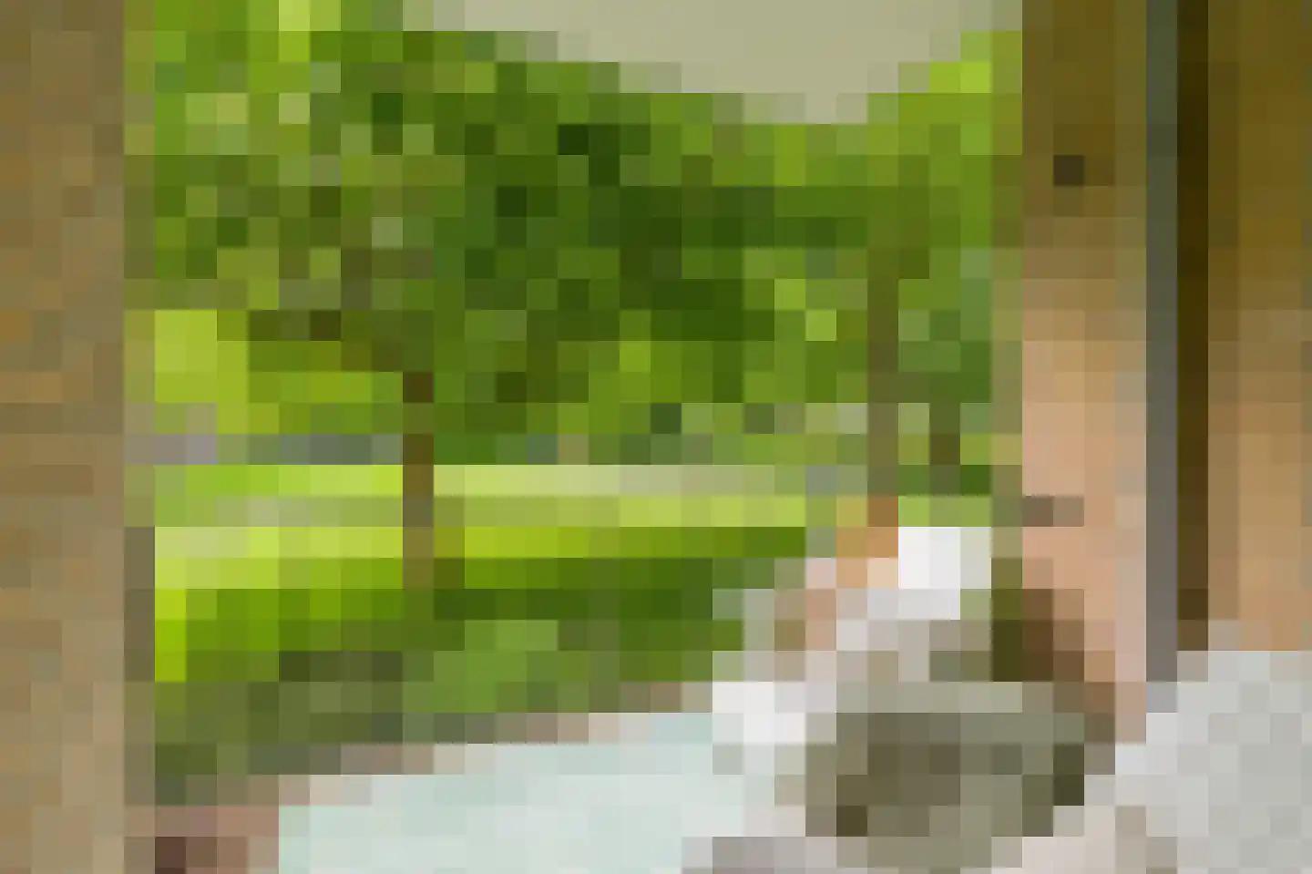 Pruimenlaan 104 Amstelveen thumbnail 28