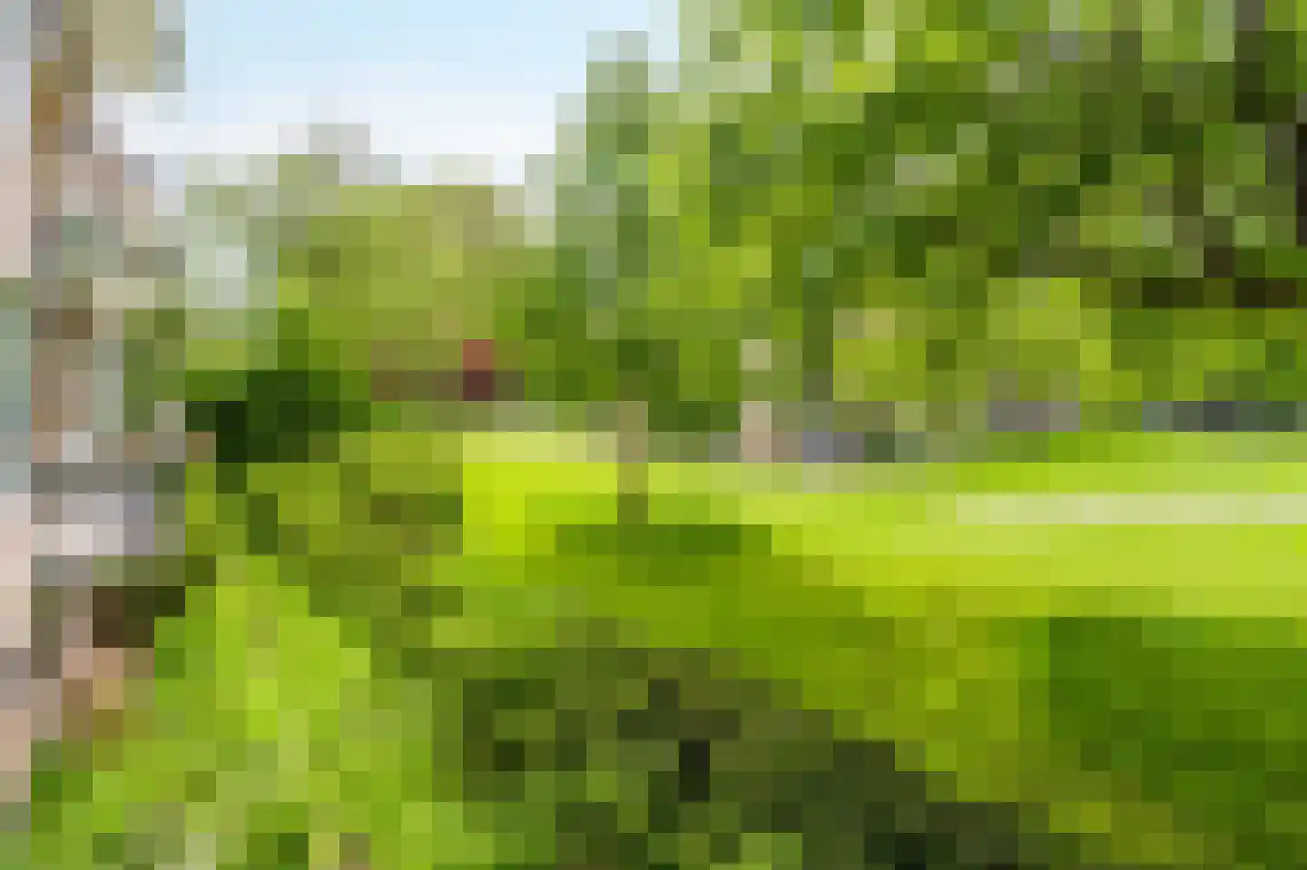 Pruimenlaan 104 Amstelveen thumbnail 30