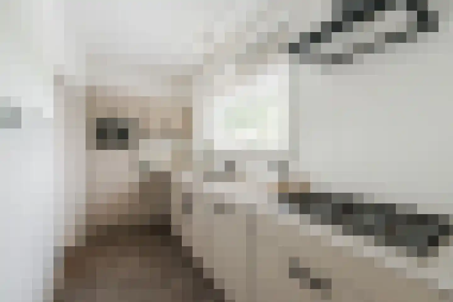 Pruimenlaan 104 Amstelveen thumbnail 4
