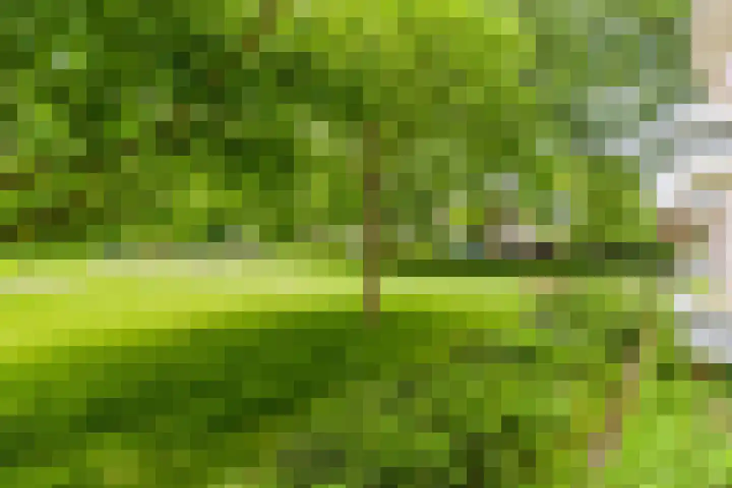 Pruimenlaan 104 Amstelveen thumbnail 45