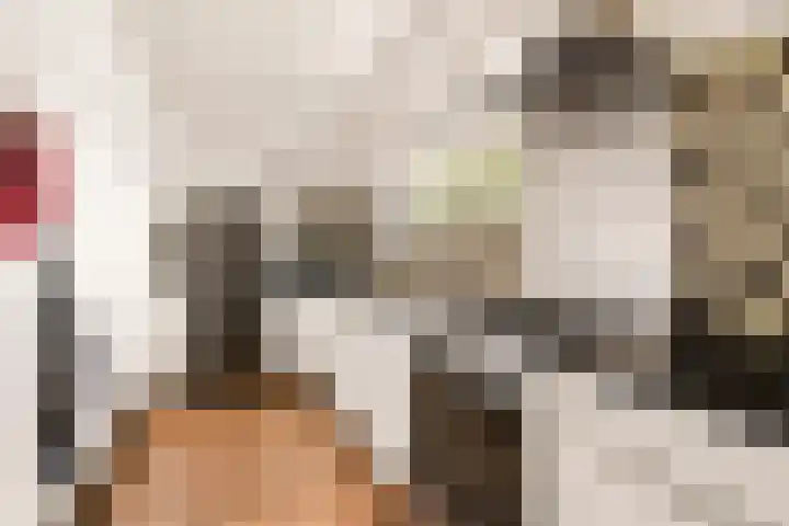 Pruimenlaan 148 Amstelveen thumbnail 13