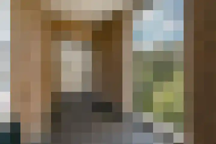 Pruimenlaan 148 Amstelveen thumbnail 22