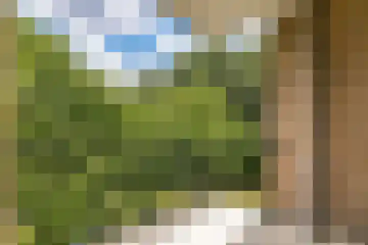 Pruimenlaan 148 Amstelveen thumbnail 4