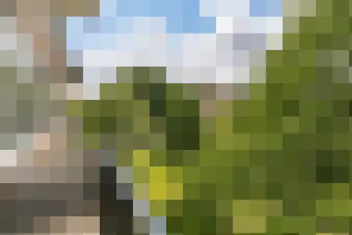 Pruimenlaan 148 Amstelveen thumbnail 5