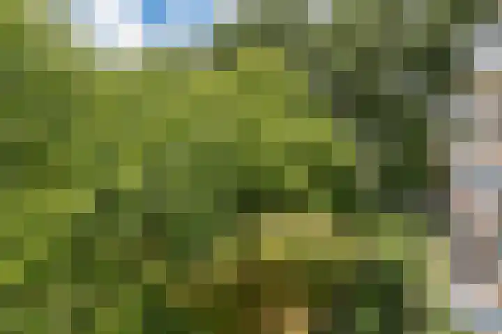 Pruimenlaan 148 Amstelveen thumbnail 6