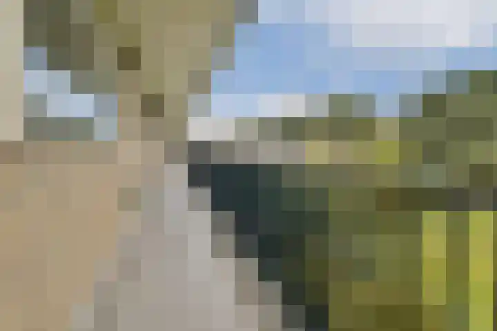 Pruimenlaan 164 Amstelveen thumbnail 22
