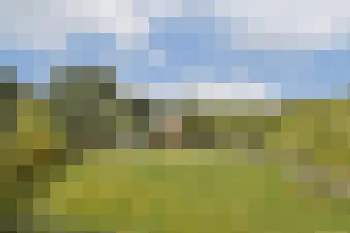 Pruimenlaan 164 Amstelveen thumbnail 23