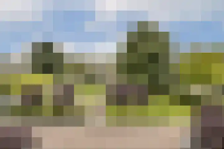 Pruimenlaan 164 Amstelveen thumbnail 7