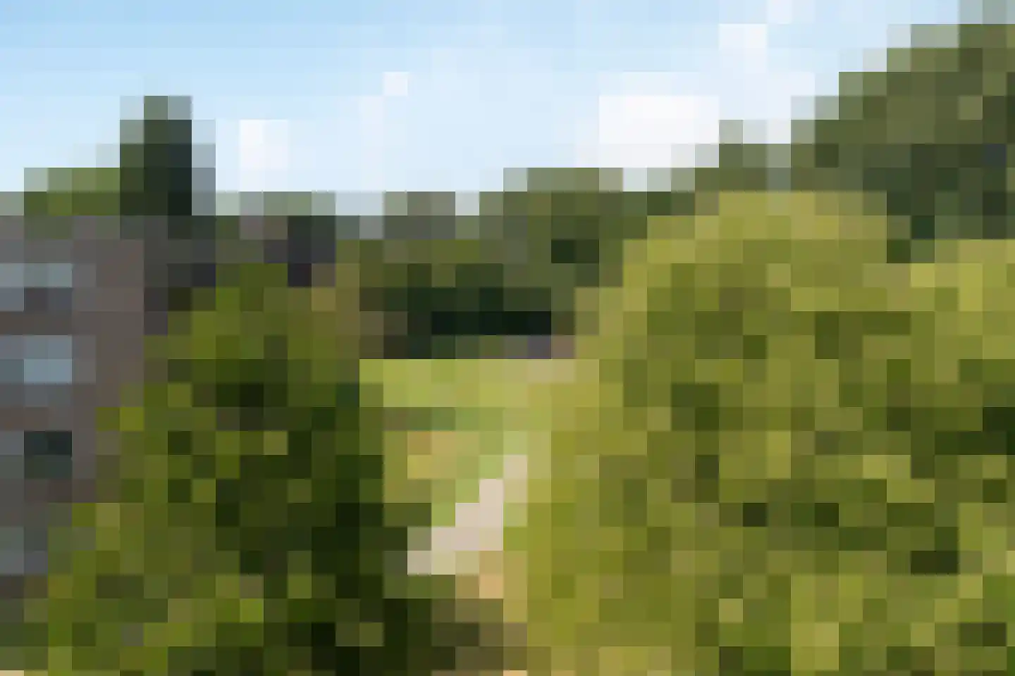 Pruimenlaan 168 Amstelveen thumbnail 9