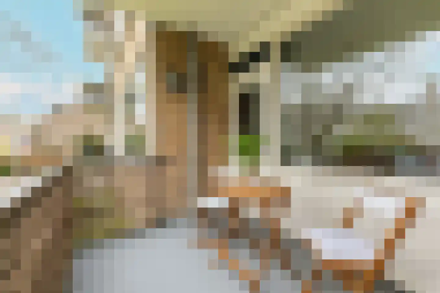 Pruimenlaan 20 Amstelveen thumbnail 29