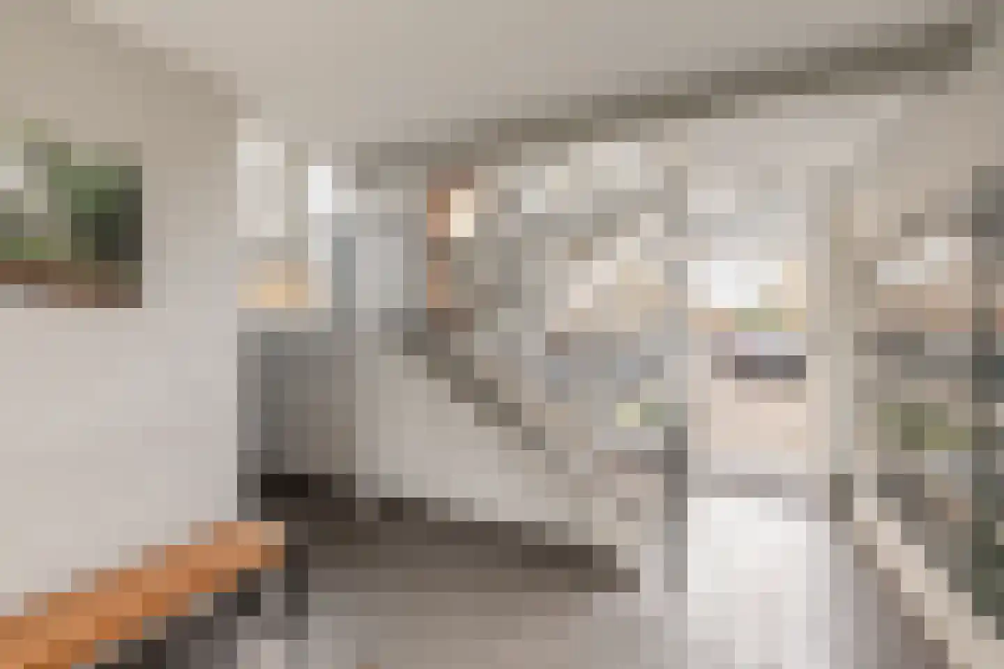 Pruimenlaan 20 Amstelveen thumbnail 39