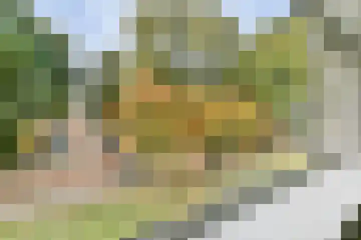 Pruimenlaan 38 Amstelveen thumbnail 11