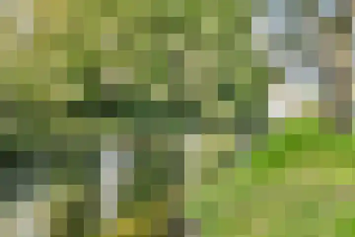 Pruimenlaan 38 Amstelveen thumbnail 28