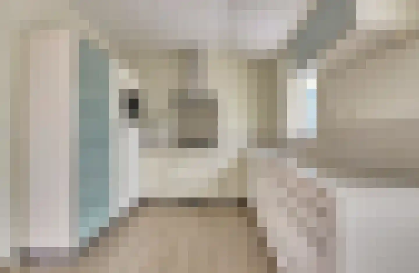 Pruimenlaan 4 Kortgene thumbnail 10
