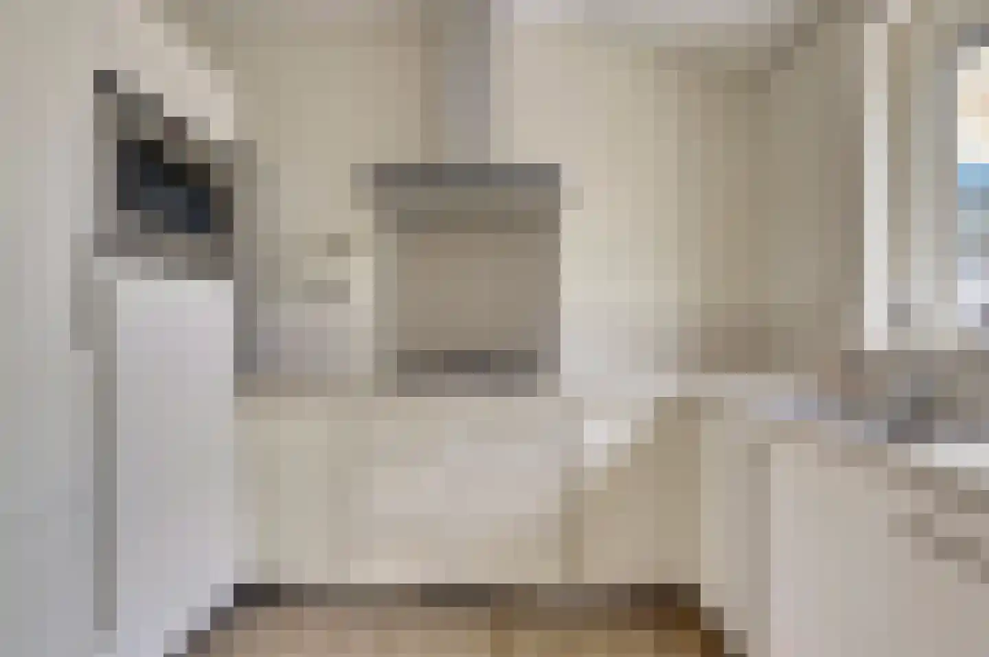 Pruimenlaan 4 Kortgene foto 3