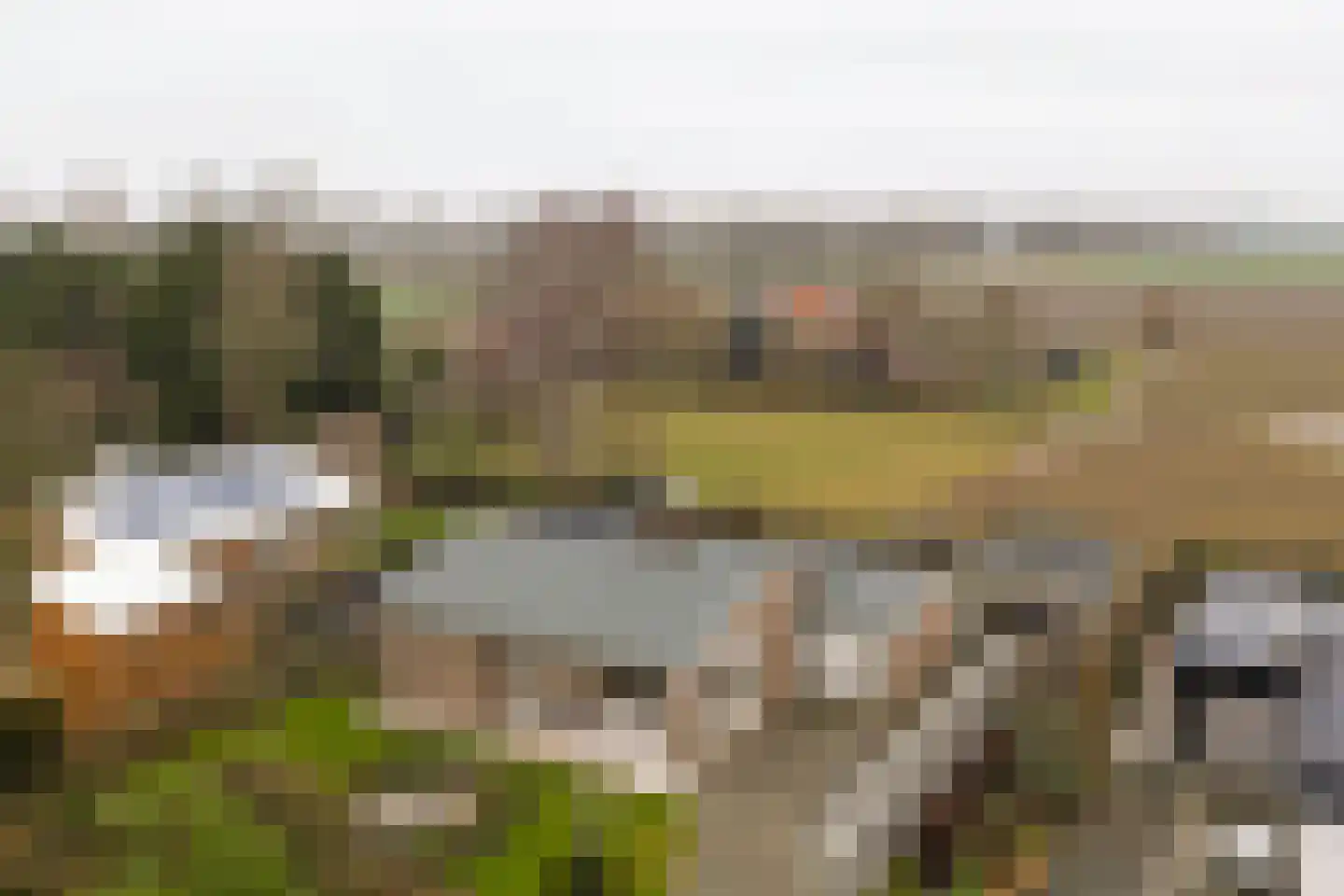 Pruimenlaan 4 Kortgene thumbnail 31