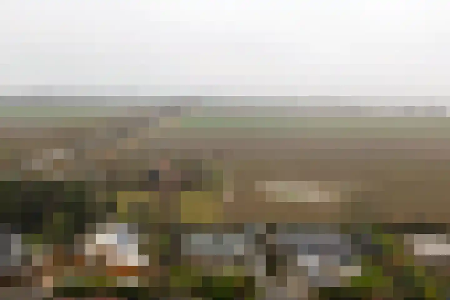Pruimenlaan 4 Kortgene thumbnail 35