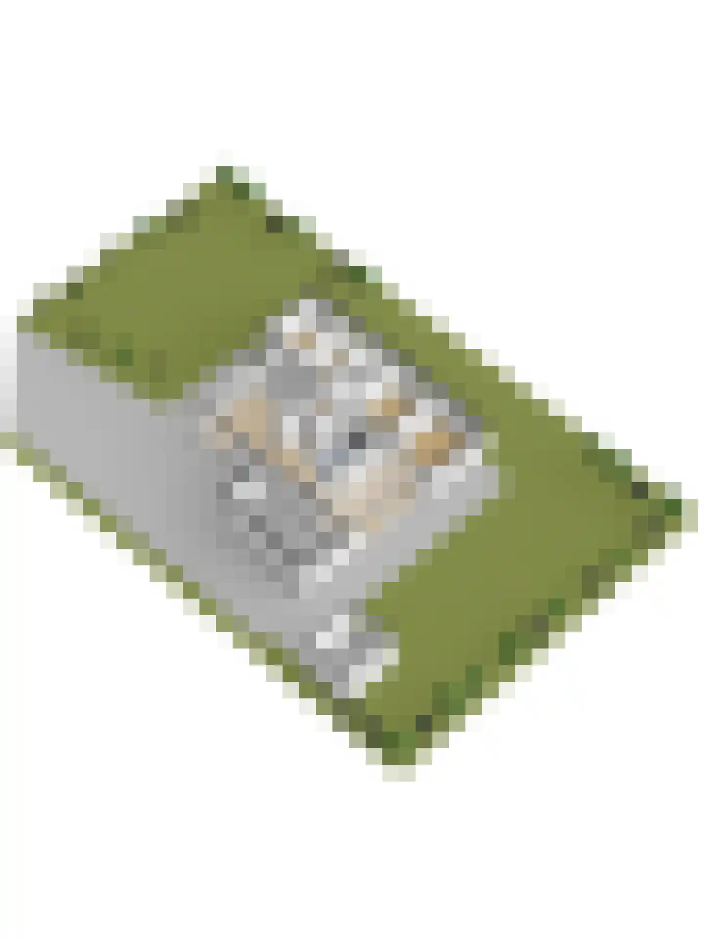 Pruimenlaan 4 Kortgene thumbnail 47