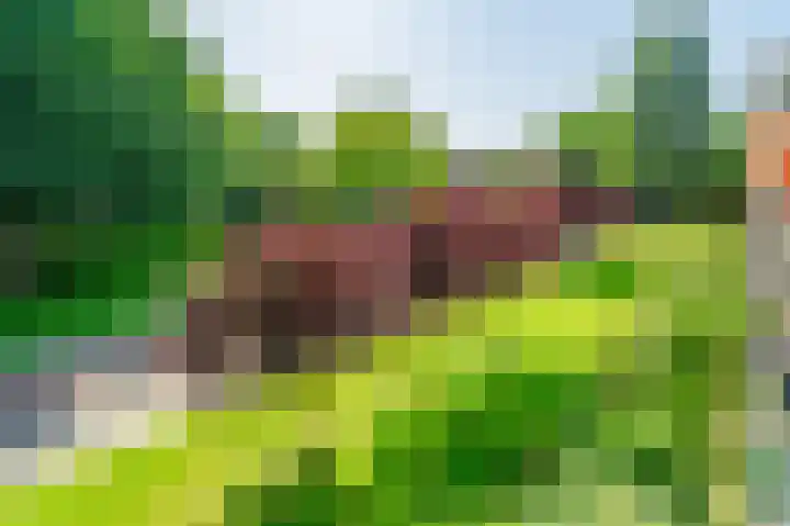 Pruimenlaan 56 Amstelveen thumbnail 10