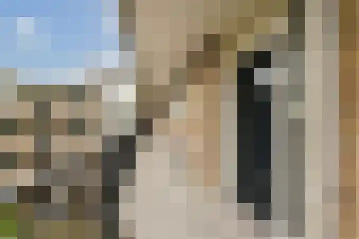 Pruimenlaan 60 Amstelveen thumbnail 16