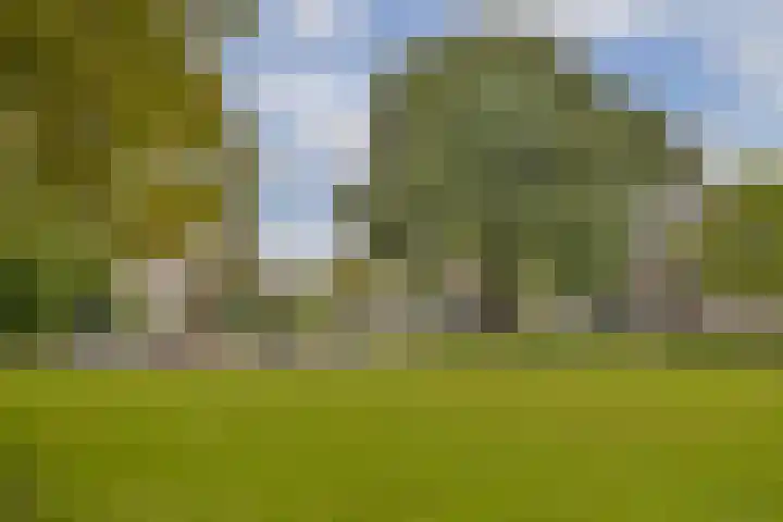 Pruimenlaan 60 Amstelveen thumbnail 19