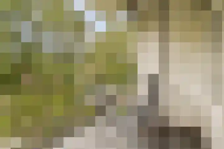 Pruimenlaan 60 Amstelveen thumbnail 5