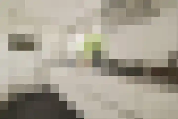Pruimenlaan 60 Amstelveen thumbnail 6