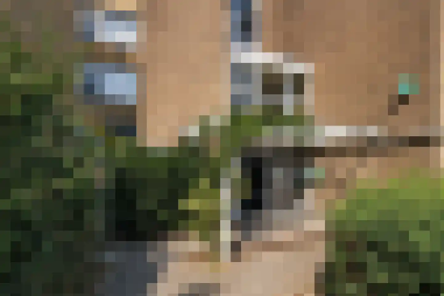 Pruimenlaan 82 Amstelveen thumbnail 31