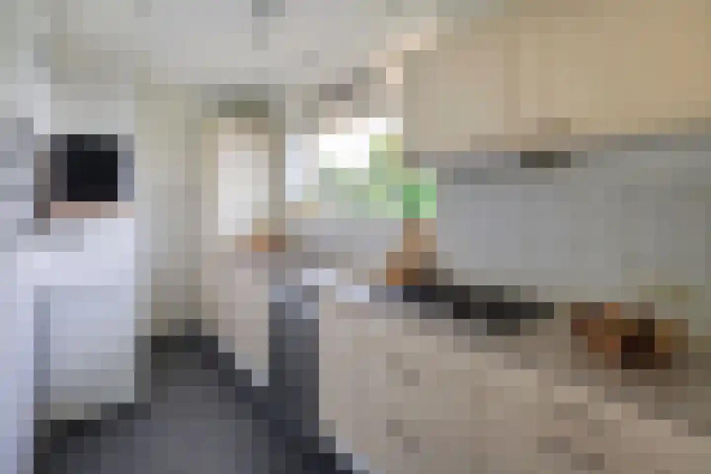 Pruimenlaan 82 Amstelveen thumbnail 9