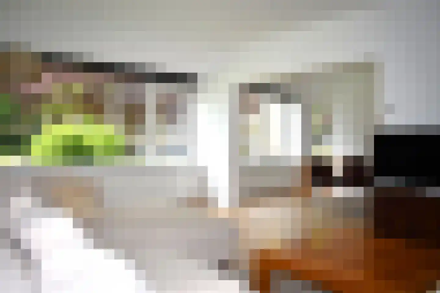 Pruimenlaan 94 Amstelveen thumbnail 14