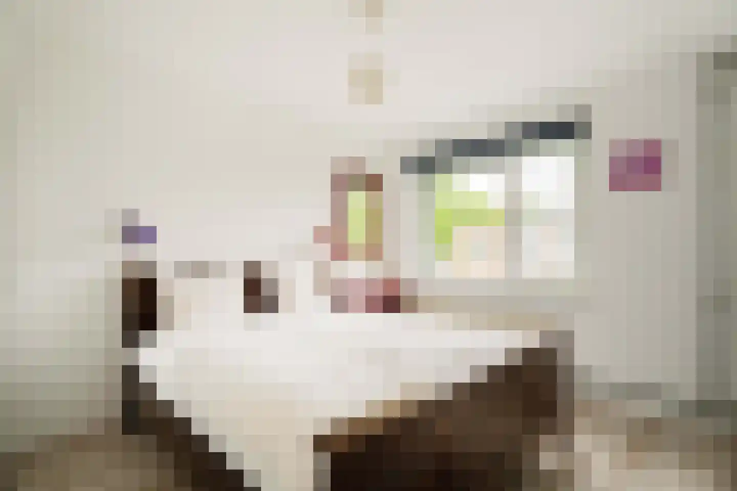 Pruimenstraat 41 Amsterdam thumbnail 14