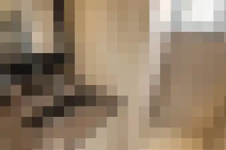 Pruimenstraat 72 Amsterdam thumbnail 25