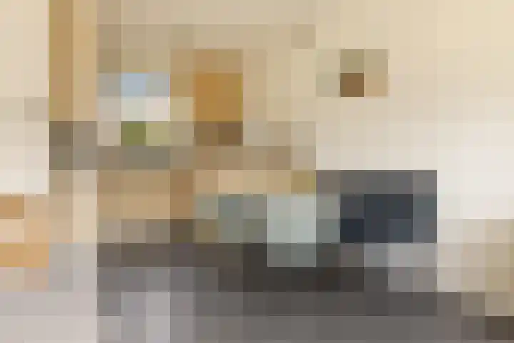 Pruimenstraat 72 Amsterdam thumbnail 7