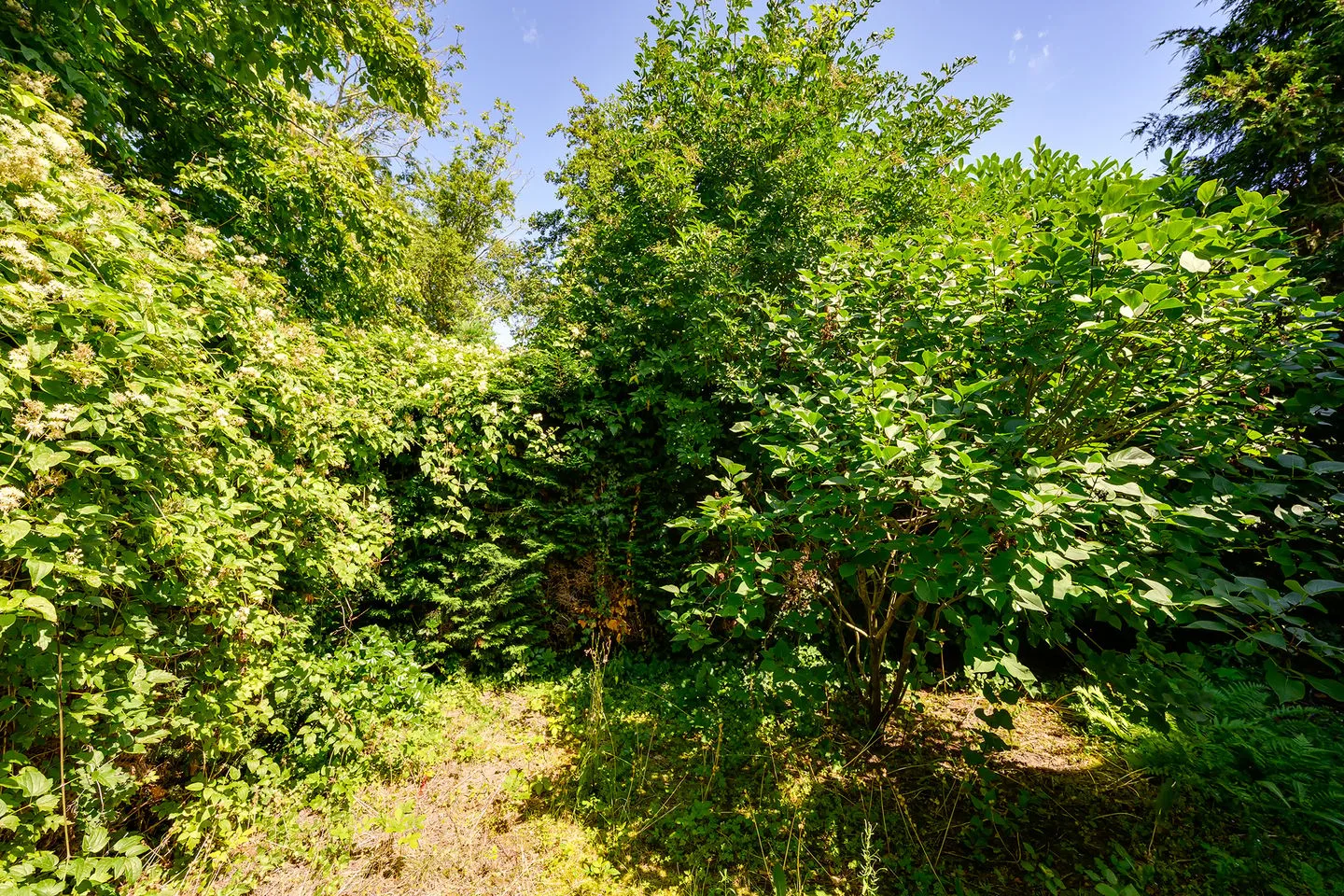 Pruimentuin 13 Barendrecht thumbnail 50